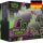 Pokemon Nebel der Sagen Top-Trainerbox (DE)